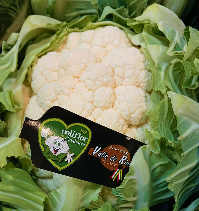 Controles y garantía IGP