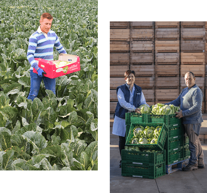 Frescura sabor y calidad